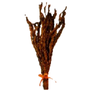 Sun-Cured Burley Tobacco (Traditional)